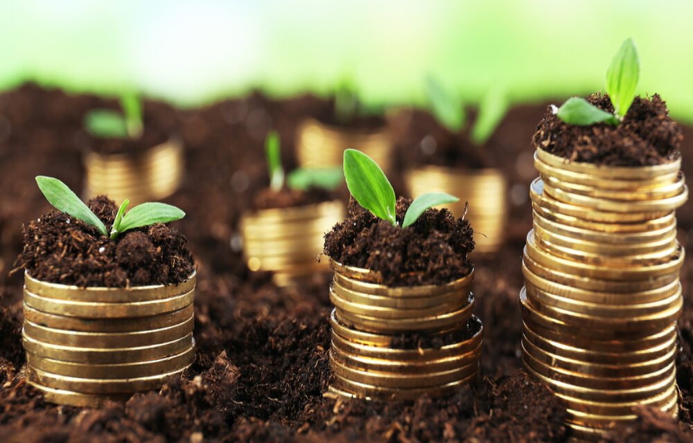 Early Childhood Programs Recognized as Economic Investments