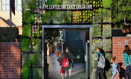 Partnerships Formed Between NGOs and Early Education Centers