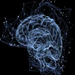 Has early education changed with neuroscience findings?