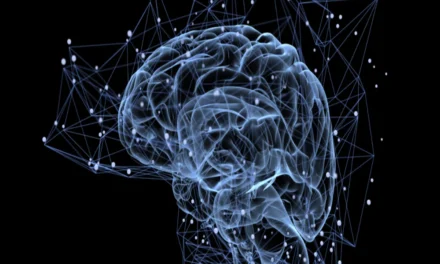 Has early education changed with neuroscience findings?