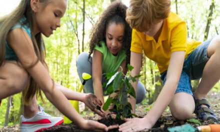 Can preschool children understand environmental issues?