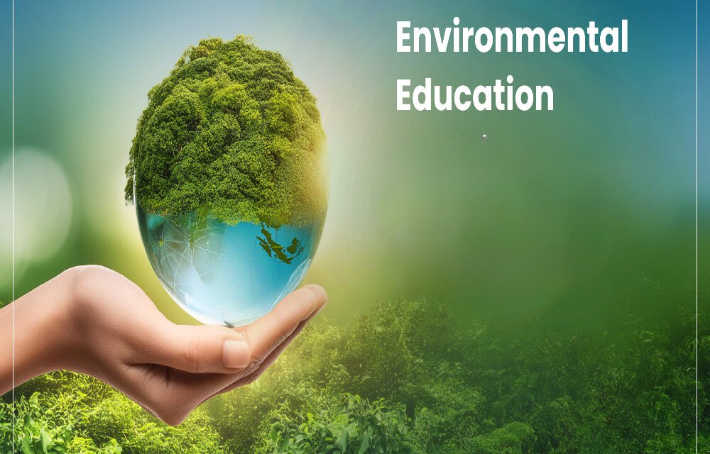 Primary Schools Integrate Environmental Education into Curriculum
