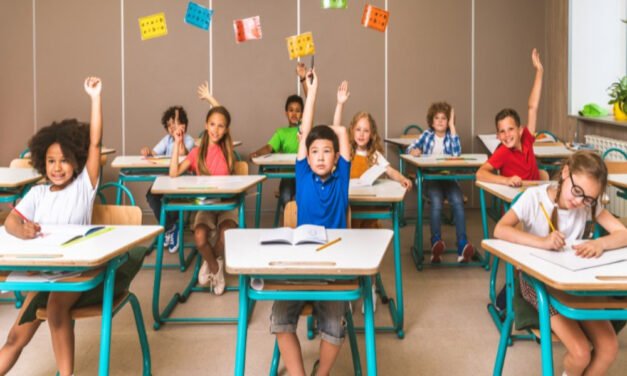 Inclusive Education Framework Adopted in Primary Schools