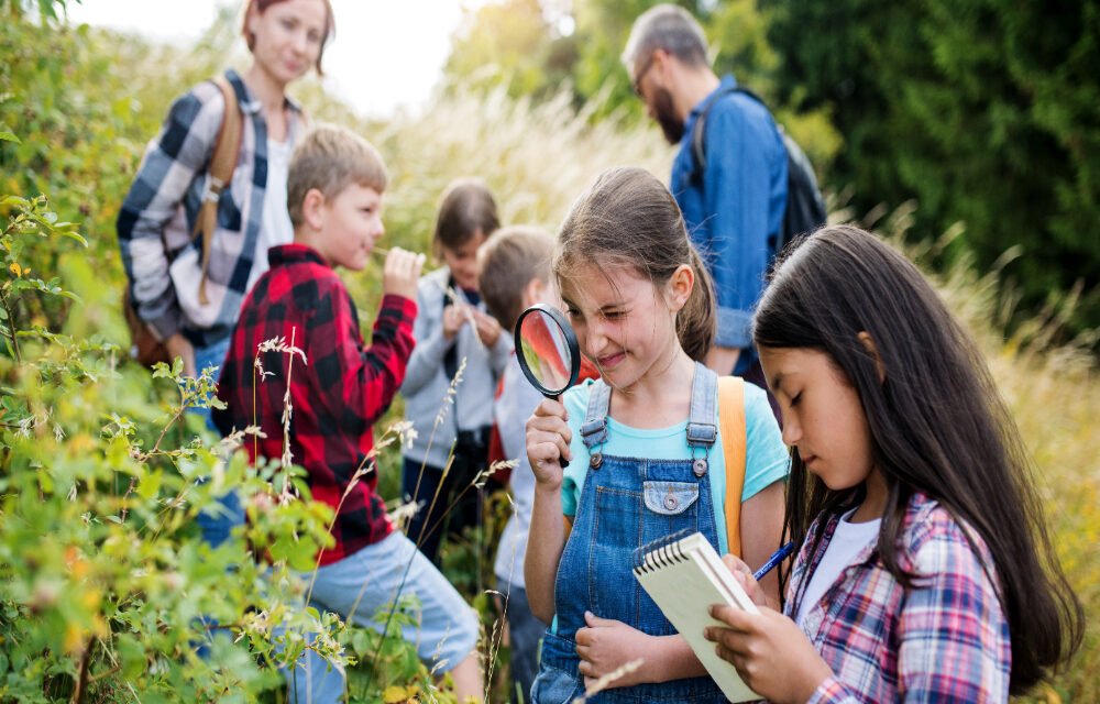 Has research confirmed the effects of outdoor education?