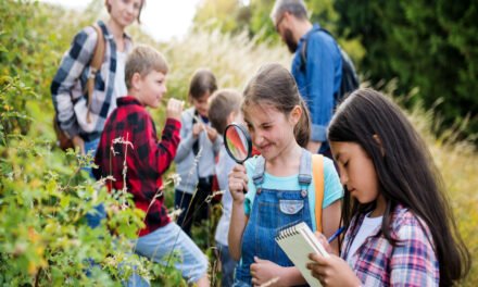 Has research confirmed the effects of outdoor education?